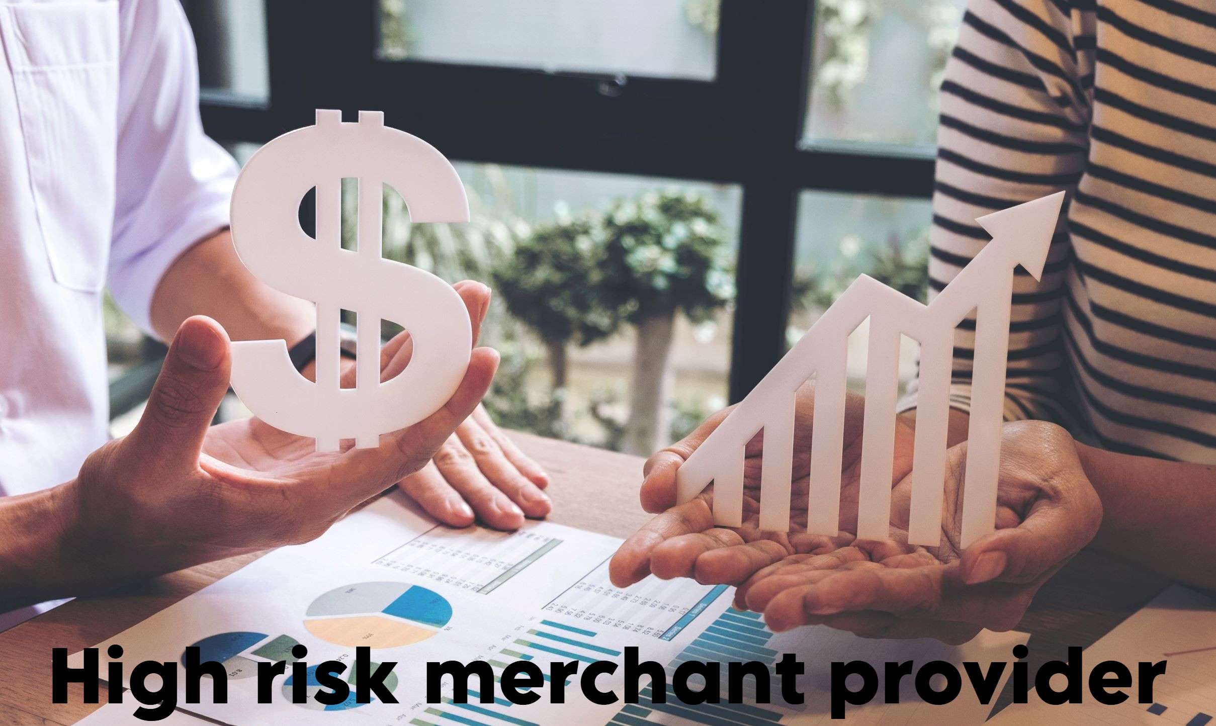 High risk merchant provider