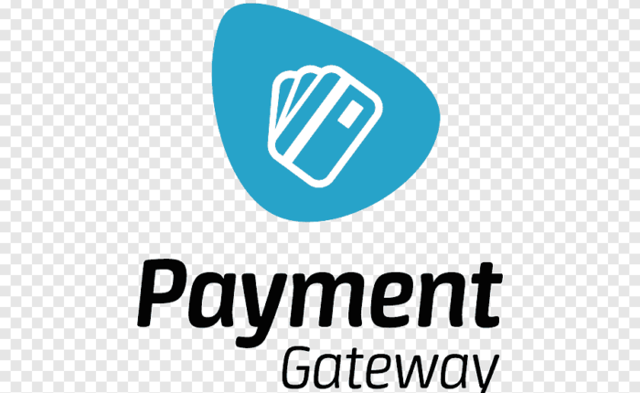 payment-gateway-business-plan