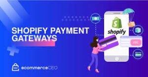 payment-processor-shopify