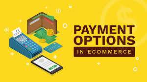 Payment Options For Ecommerce Website