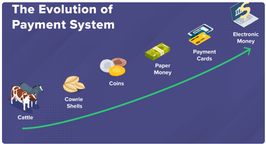 Payments Companies in India